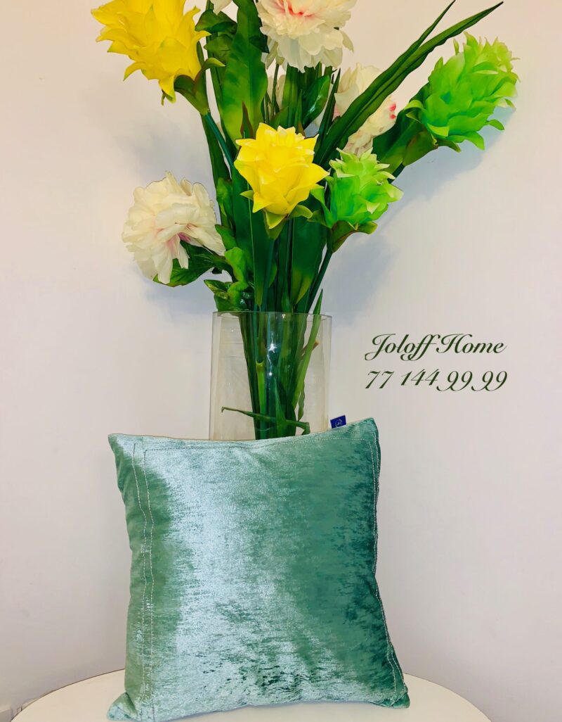 JH71-4040-COUSSIN VERT EN VELOUR