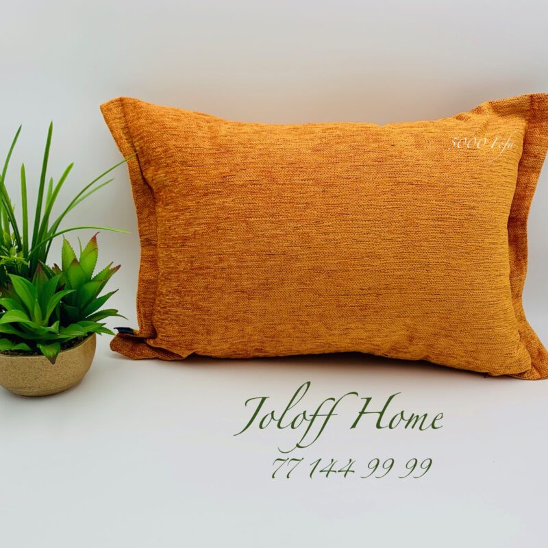 JH75-4545-COUSSIN EN VELOUR – Image 4
