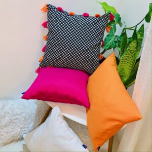 JH34-COUSSIN COLORE ET ENERGIQUES – Image 4