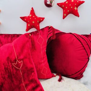 JH108-4040-COUSSIN EN VELOURS – Image 2