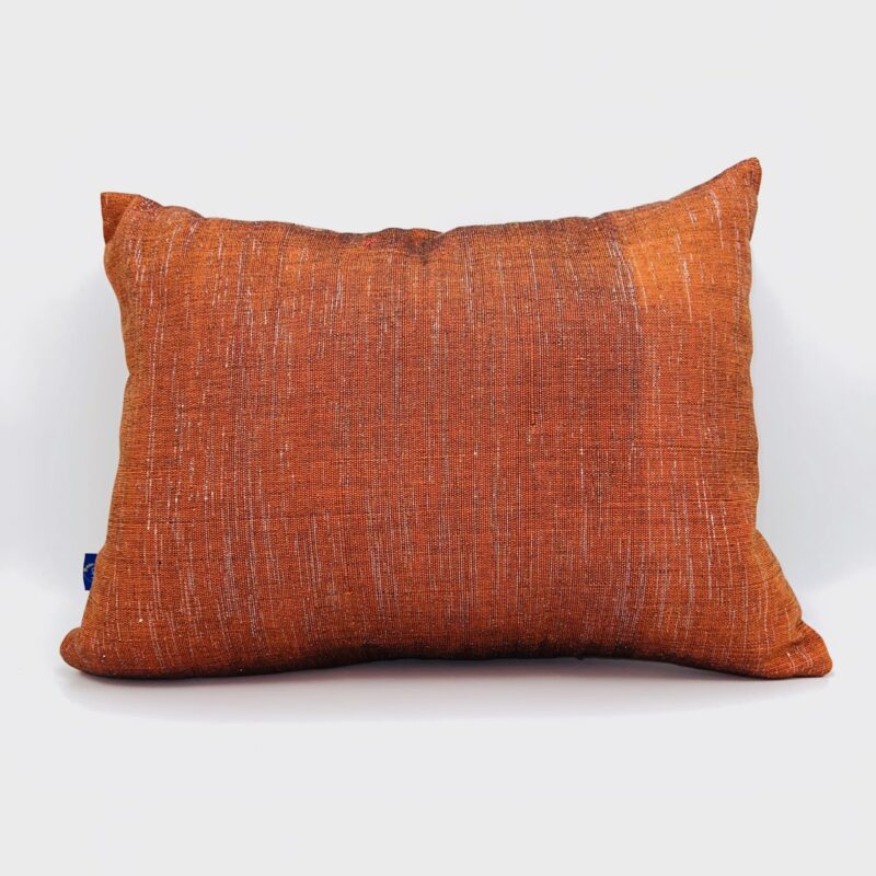SC-458-COUSSIN ORANGE ARGENT