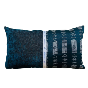 JH504-COUSSIN BI MATIERE